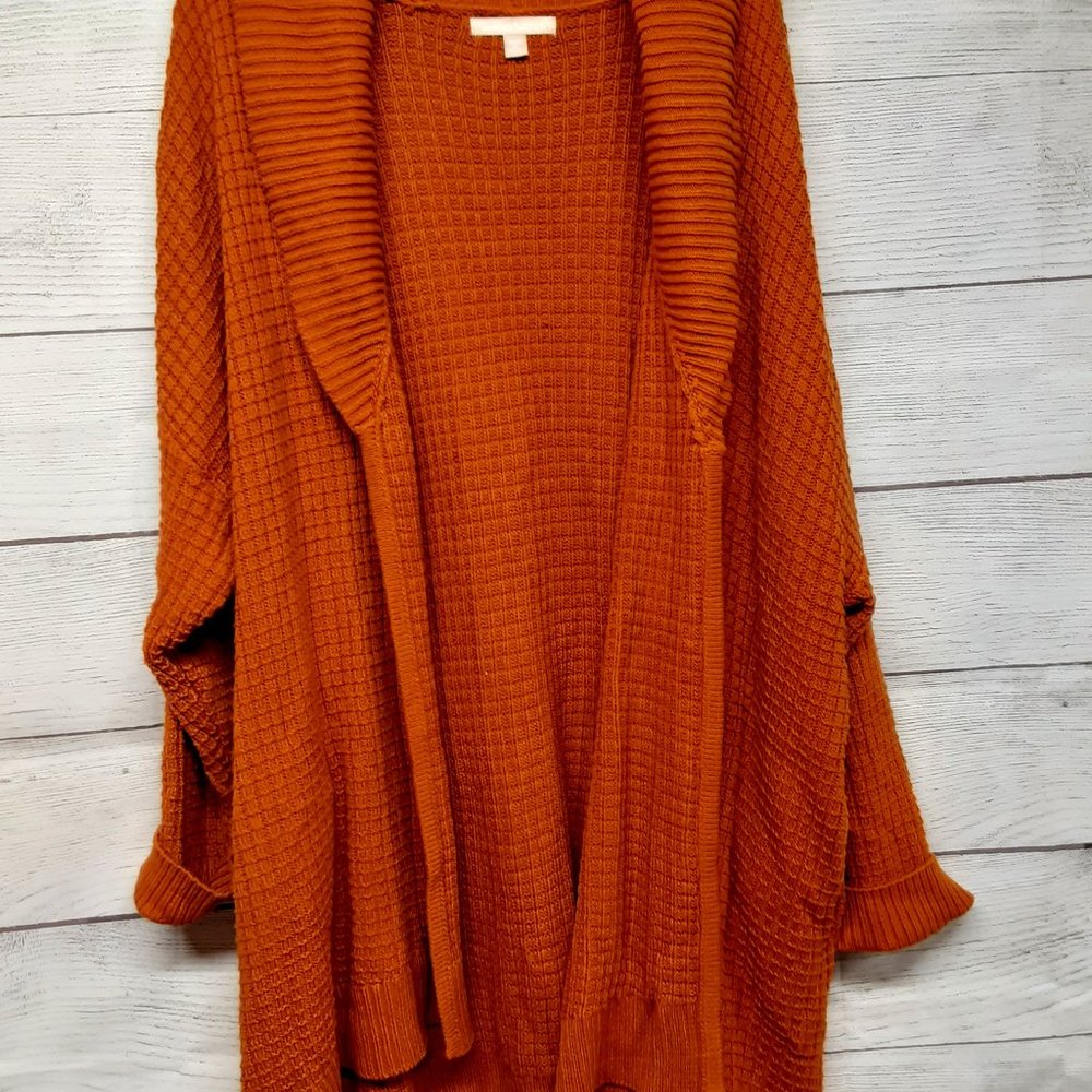 Woman Within Long Sleeve Sweater 4X